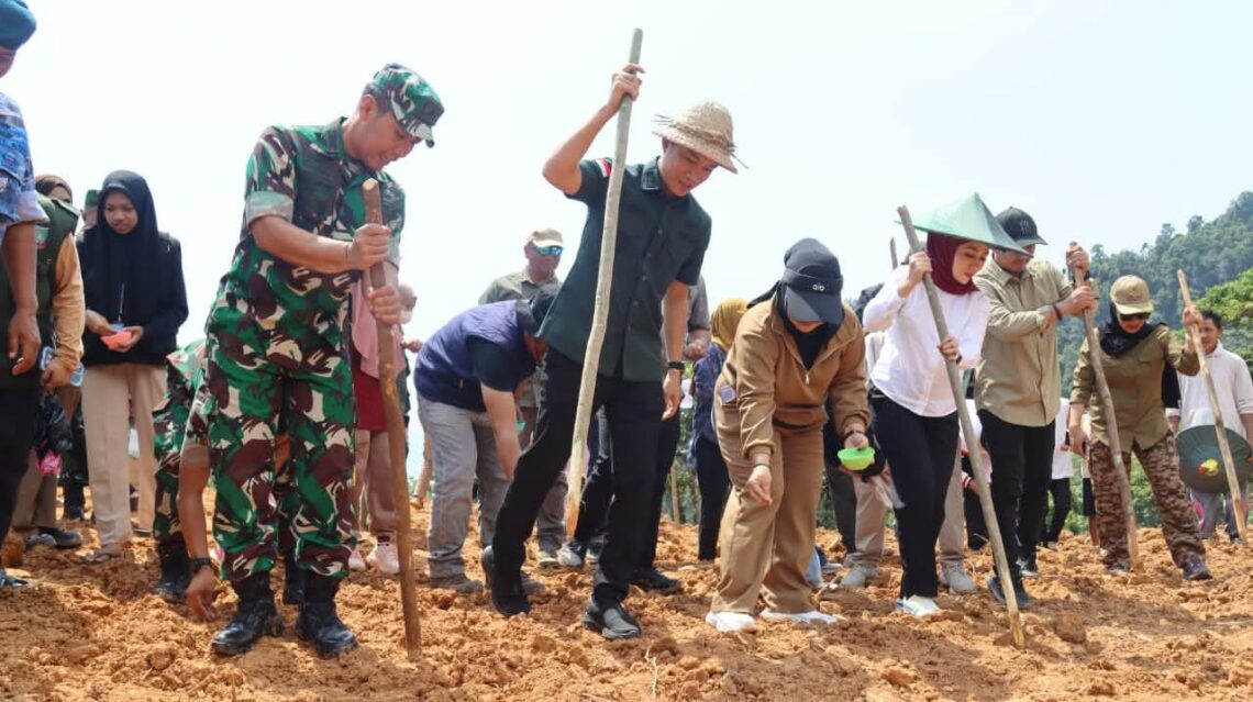 Bupati Konut, Ikbar pimpin penanaman Padi Gogo