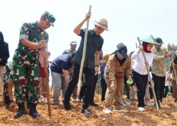 Bupati Konut, Ikbar pimpin penanaman Padi Gogo