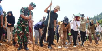 Bupati Konut, Ikbar pimpin penanaman Padi Gogo
