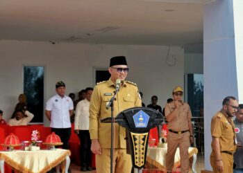 Wakil Wali Kota, Sudirman memimpin upacara peringatab Haornas