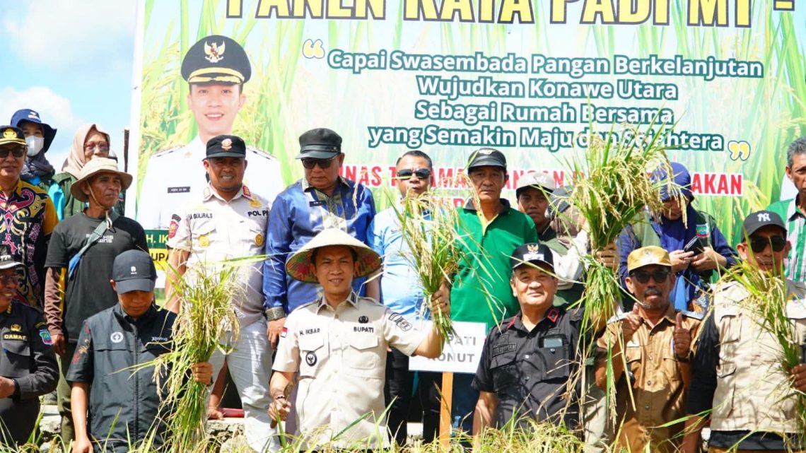 Bupati Konut panen raya padi sawah di Desa Matanggonawe