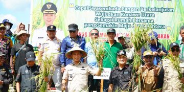 Bupati Konut panen raya padi sawah di Desa Matanggonawe