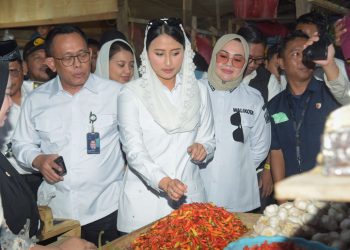Wamendag bersama Wali Kota Kendari saat tinjau Pasar Baruga