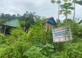 Salah satu tanah milik warga Tunggala yang diduga diserobot