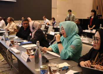 Wali Kota Kendari, Siska Karina Imran