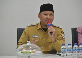 Wakil Wali Kota Kendari, Sudirman