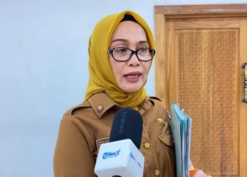 Kepala DLHK Kota Kendari, Hj. Erlis Sadya Kencana, ST., MT