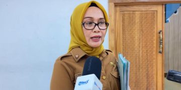 Kepala DLHK Kota Kendari, Hj. Erlis Sadya Kencana, ST., MT