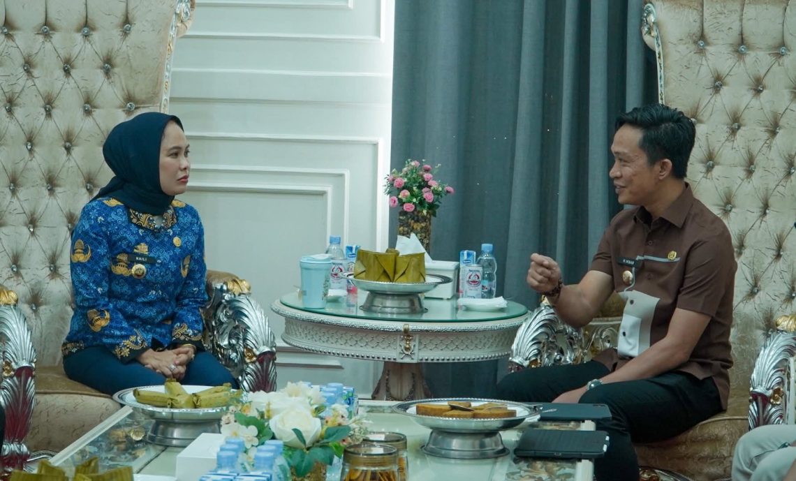 Bupati Konut Ikbar saat audiensi dengan Wali Kota Palopo