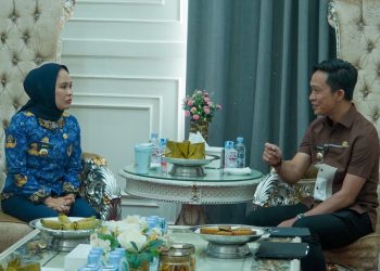 Bupati Konut Ikbar saat audiensi dengan Wali Kota Palopo