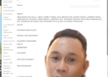 Andre Darmawan dalam videonya, menunjukan terkait izin tambang batuan di Pulau Wawonii yang saat ini menjadi polemik