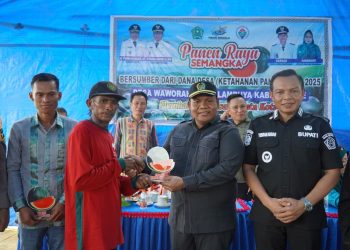 Bupati Konawe, Yusran Akbar bersama salah satu anggota DPRD Konawe memberikan apresiasi tinggi kepada salah petani Desa Waworaha