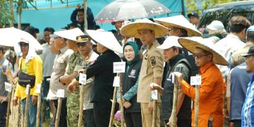Bupati Konut pimpin tanam serentak di Kelurahan Asera, Kecamatan Asera
