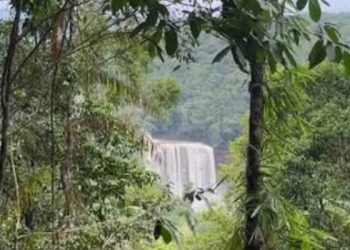 Air Terjun Routa Konawe yang kini aksesnya dibatasi karena berada dalam kawasan pertambangan milik PT SCM