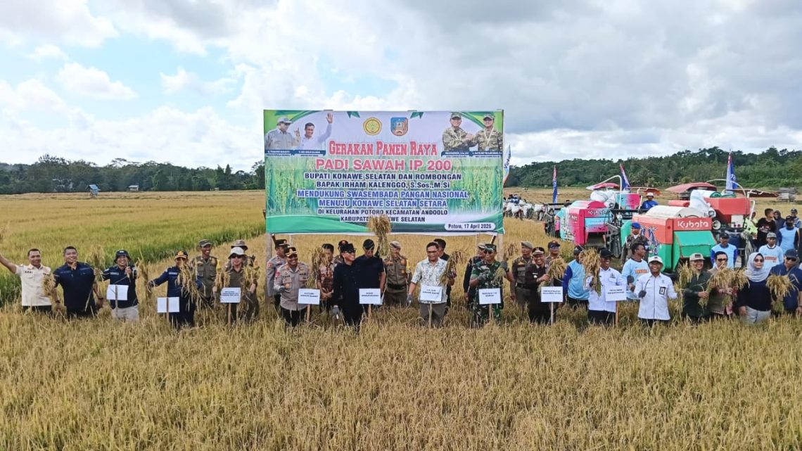Panen Raya Padi Sawah di Potoro dipimpin langsung Bupati Konsel, Irham Kalenggo