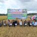 Panen Raya Padi Sawah di Potoro dipimpin langsung Bupati Konsel, Irham Kalenggo