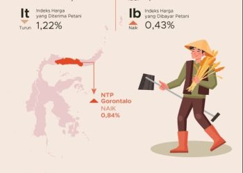 Tabel NTP Sultra Maret 2026