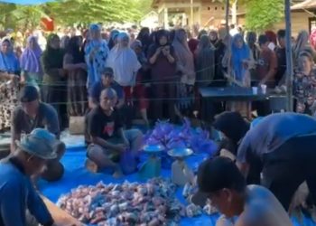 Bahtra Banong Kurban Sapi Jumbo Berat 1 Ton Lebih di Konawe 11 Proses pemotongan daging sapi kurban milik Bahtra Banong di Konawe