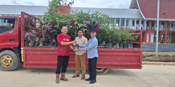 Pemkab Konsel saat menyerahkan bibit tanaman