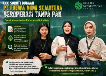 Celebes Conservation Center (CCC) menyoroti dugaan aktivitas PT Fatwa Bumi Sejahtera di kawasan hutan tanpa memiliki Penataan Areal Kerja (PAK) yang sah