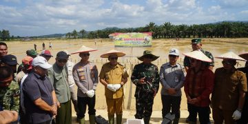 Pangdam Hasanuddin Tanam Padi Perdana di Konawe, Cetak Sawah Rakyat Capai 1.998 Ha